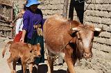 BOLIVIA - Isla del Sol - Titicaca Lake - 11